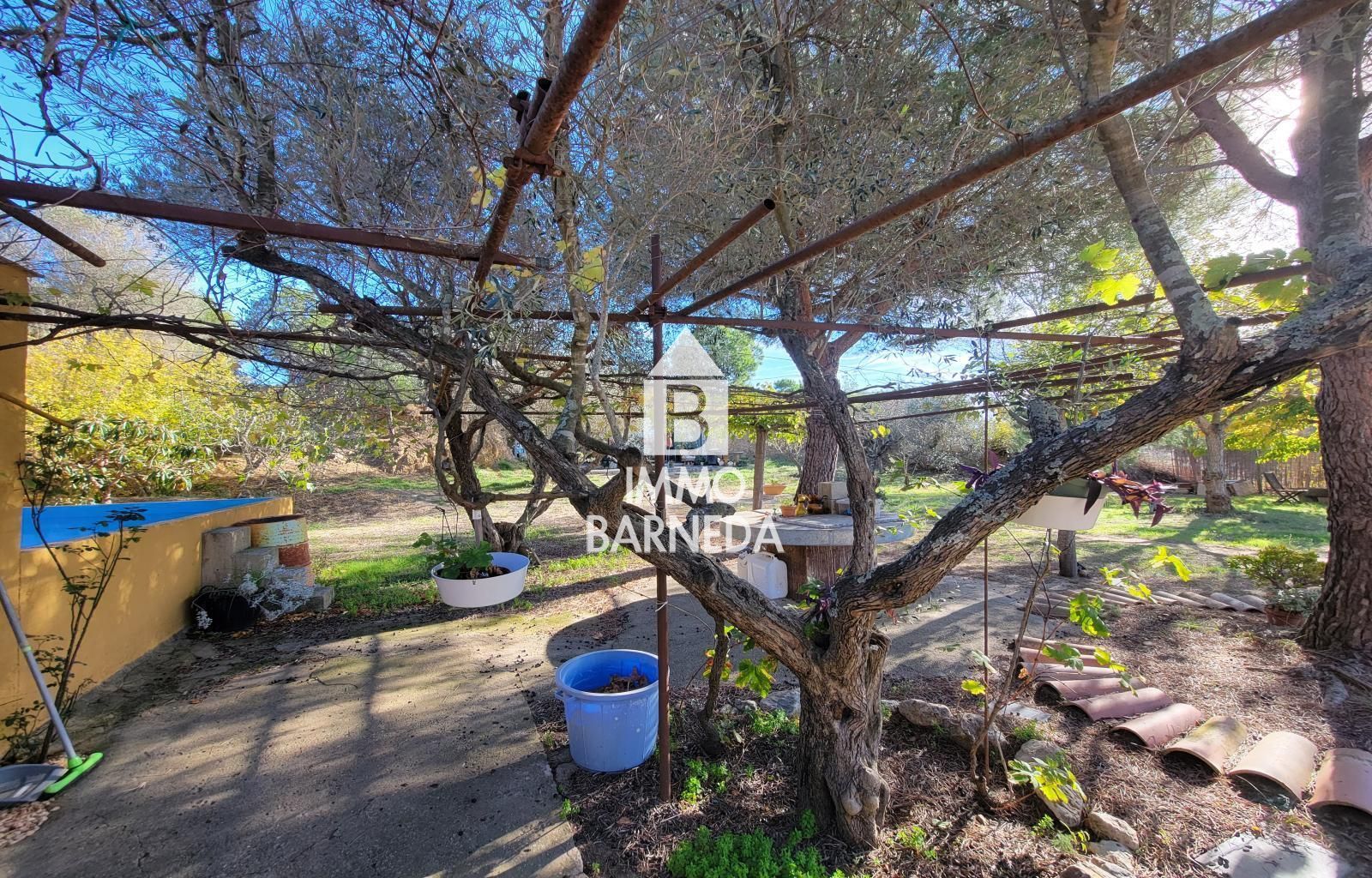 Terrains ruraux avec oliveraie et autonomie énergétique