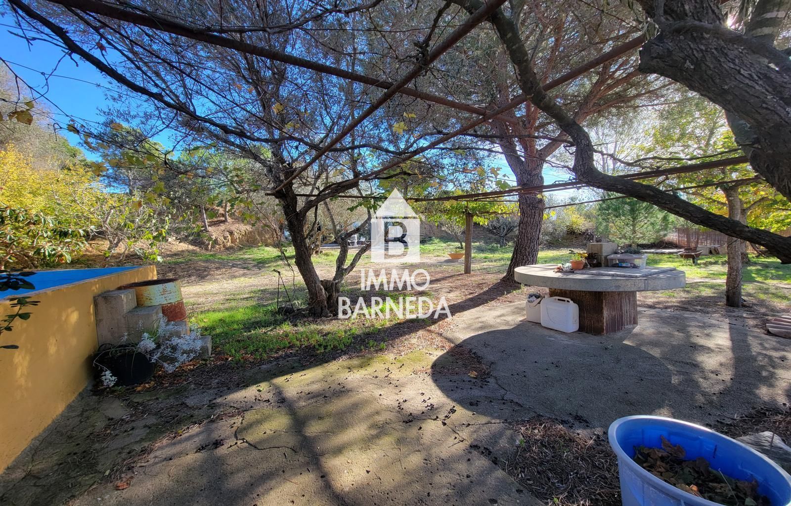 Terrains ruraux avec oliveraie et autonomie énergétique