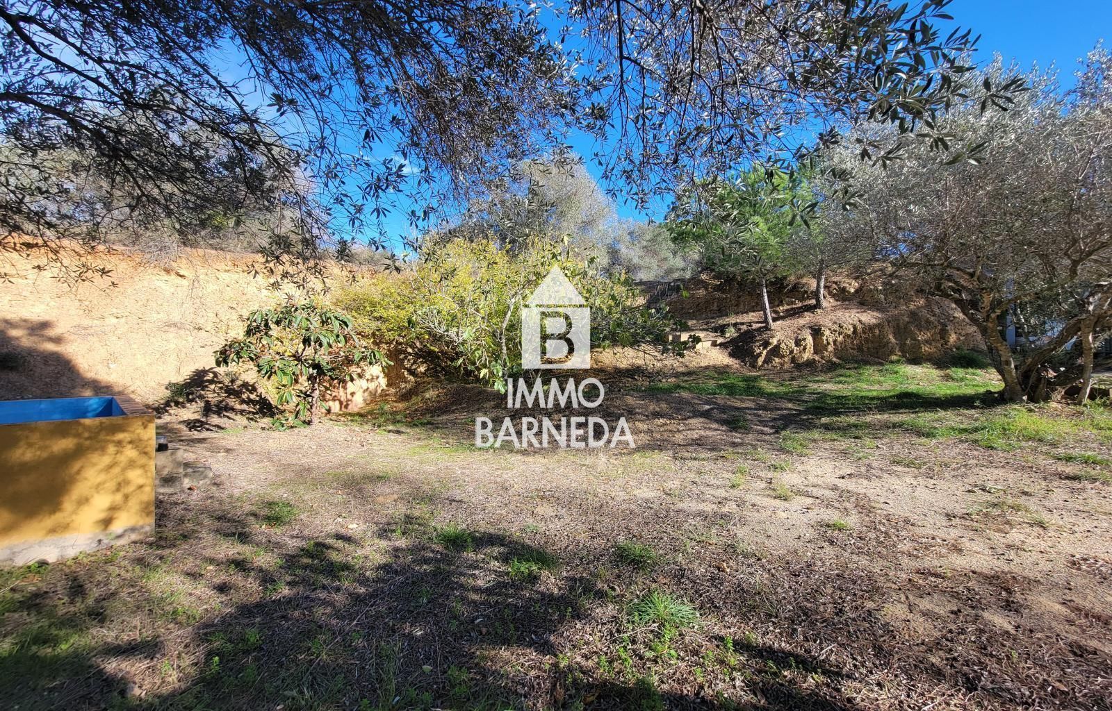 Terrains ruraux avec oliveraie et autonomie énergétique