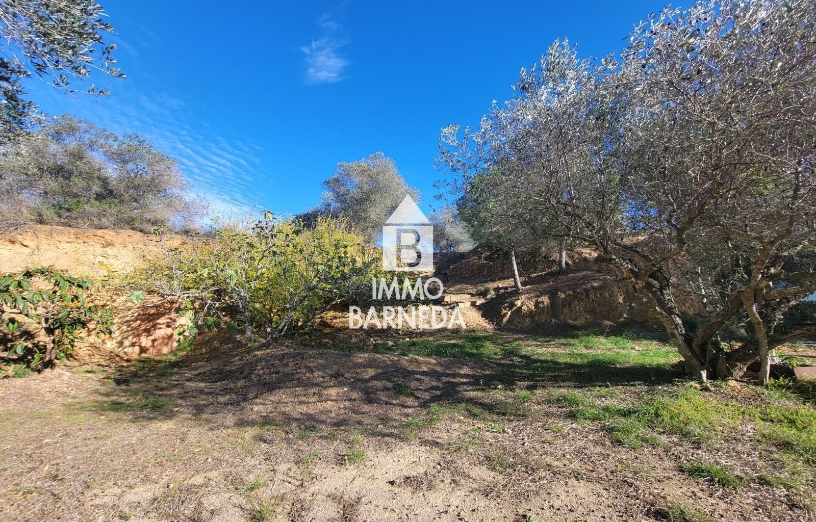 Terrains ruraux avec oliveraie et autonomie énergétique