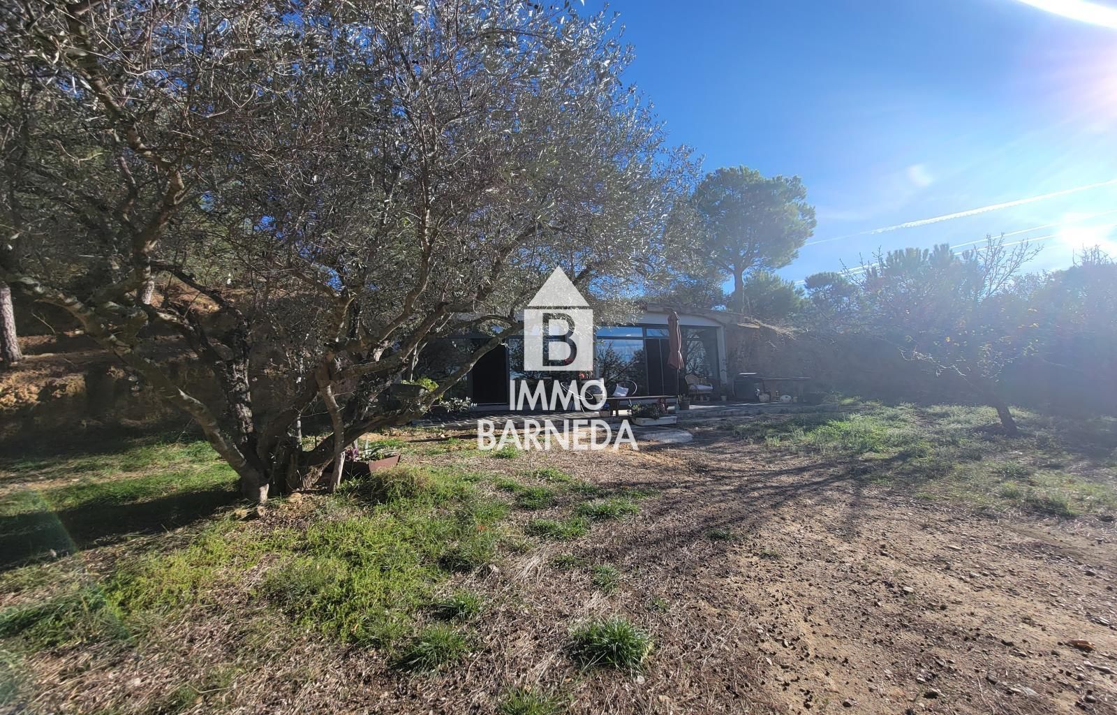 Terrains ruraux avec oliveraie et autonomie énergétique