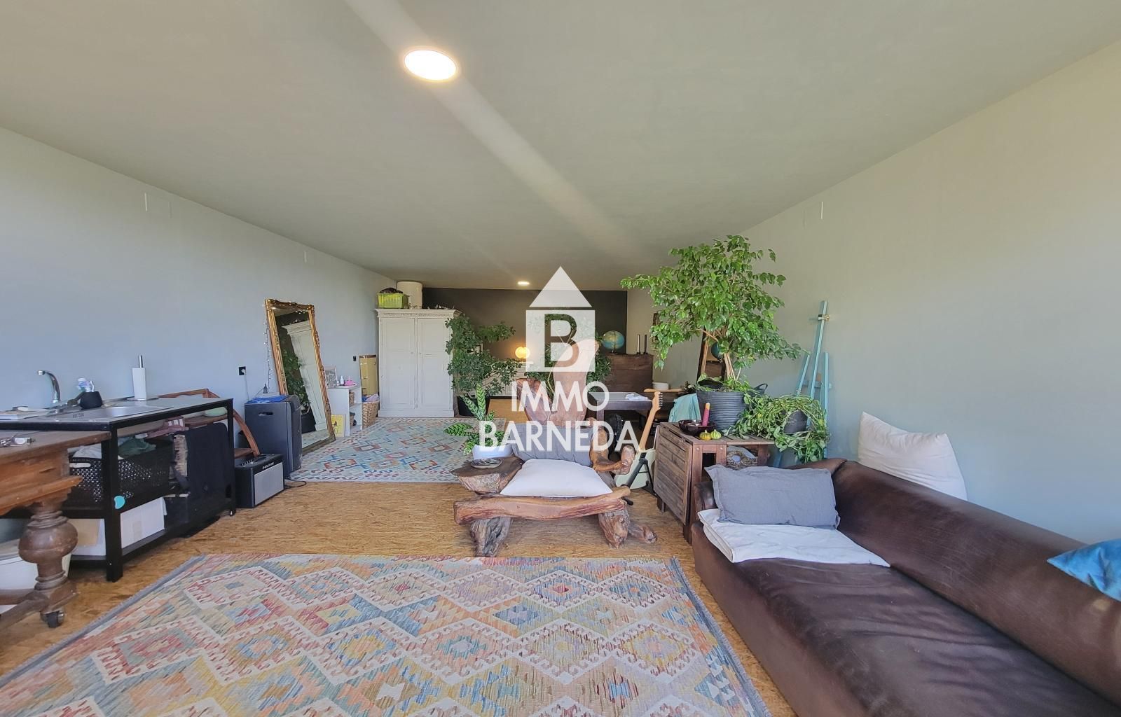 Terrains ruraux avec oliveraie et autonomie énergétique