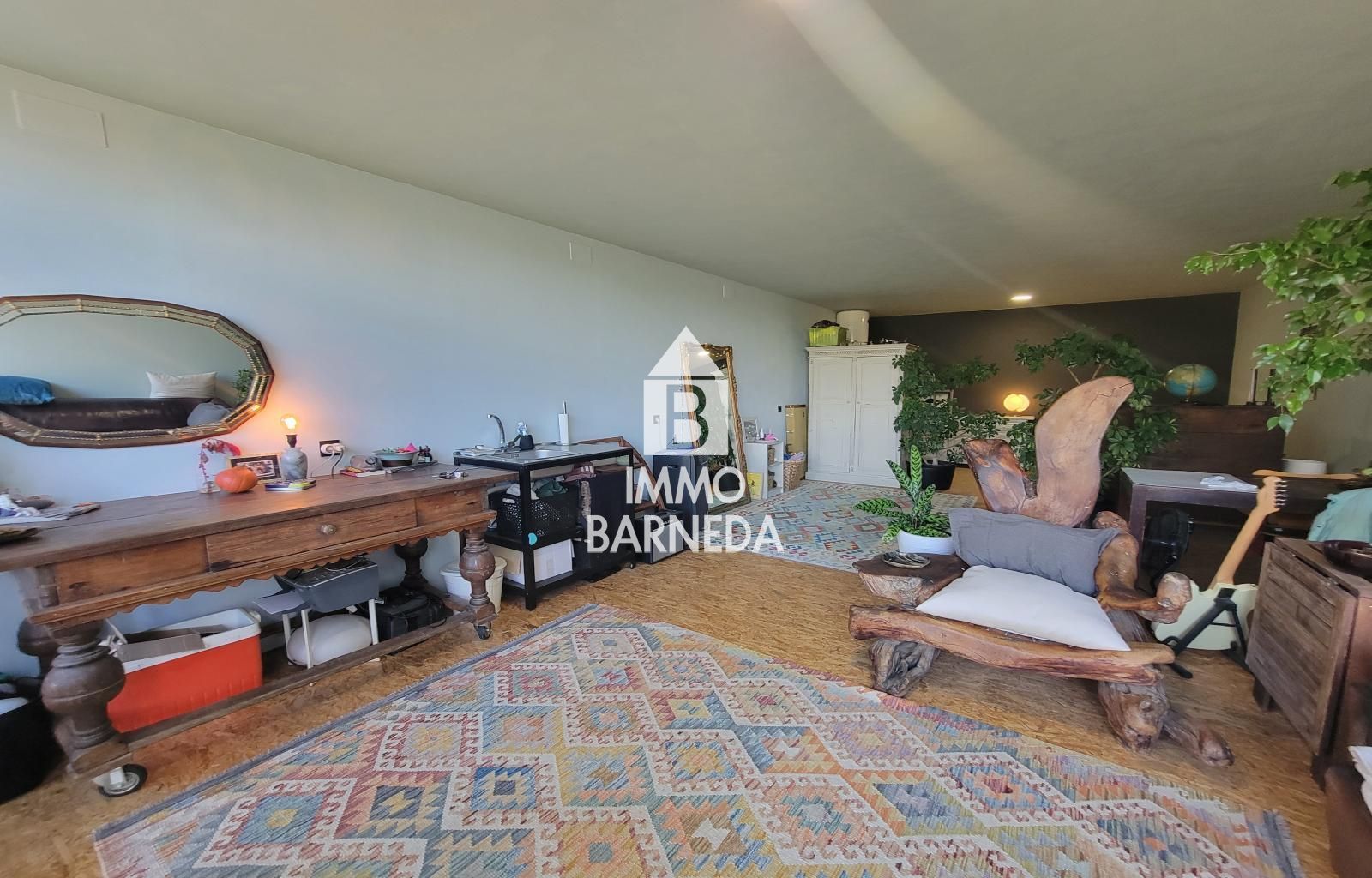 Terrains ruraux avec oliveraie et autonomie énergétique