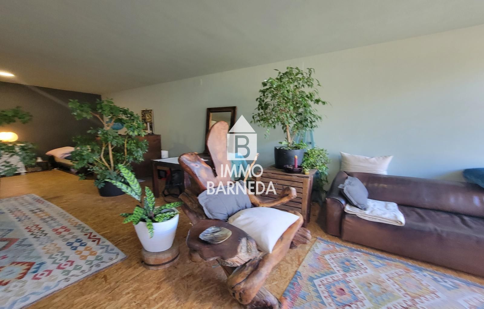 Terrains ruraux avec oliveraie et autonomie énergétique