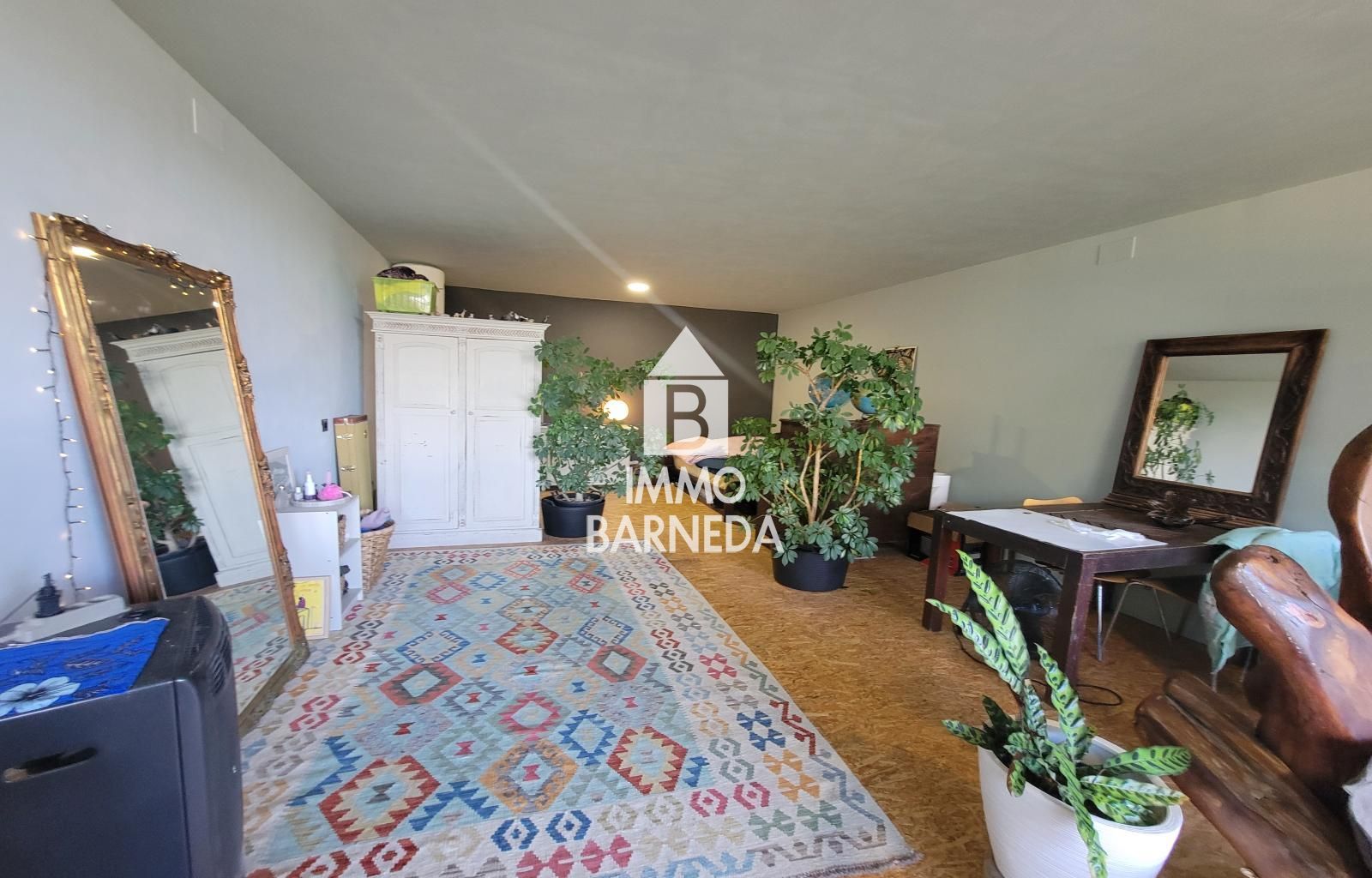 Terrains ruraux avec oliveraie et autonomie énergétique