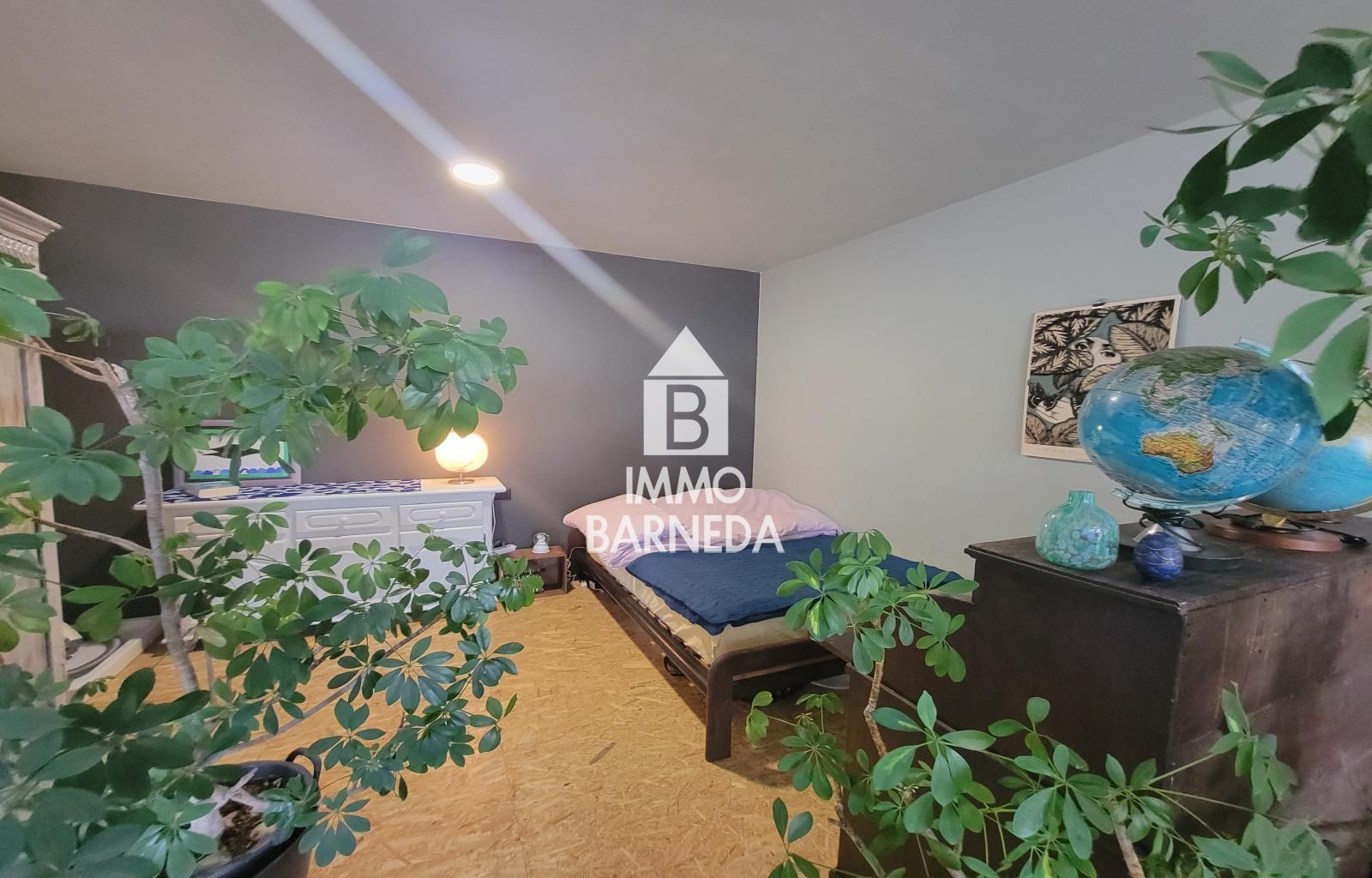 Terrains ruraux avec oliveraie et autonomie énergétique