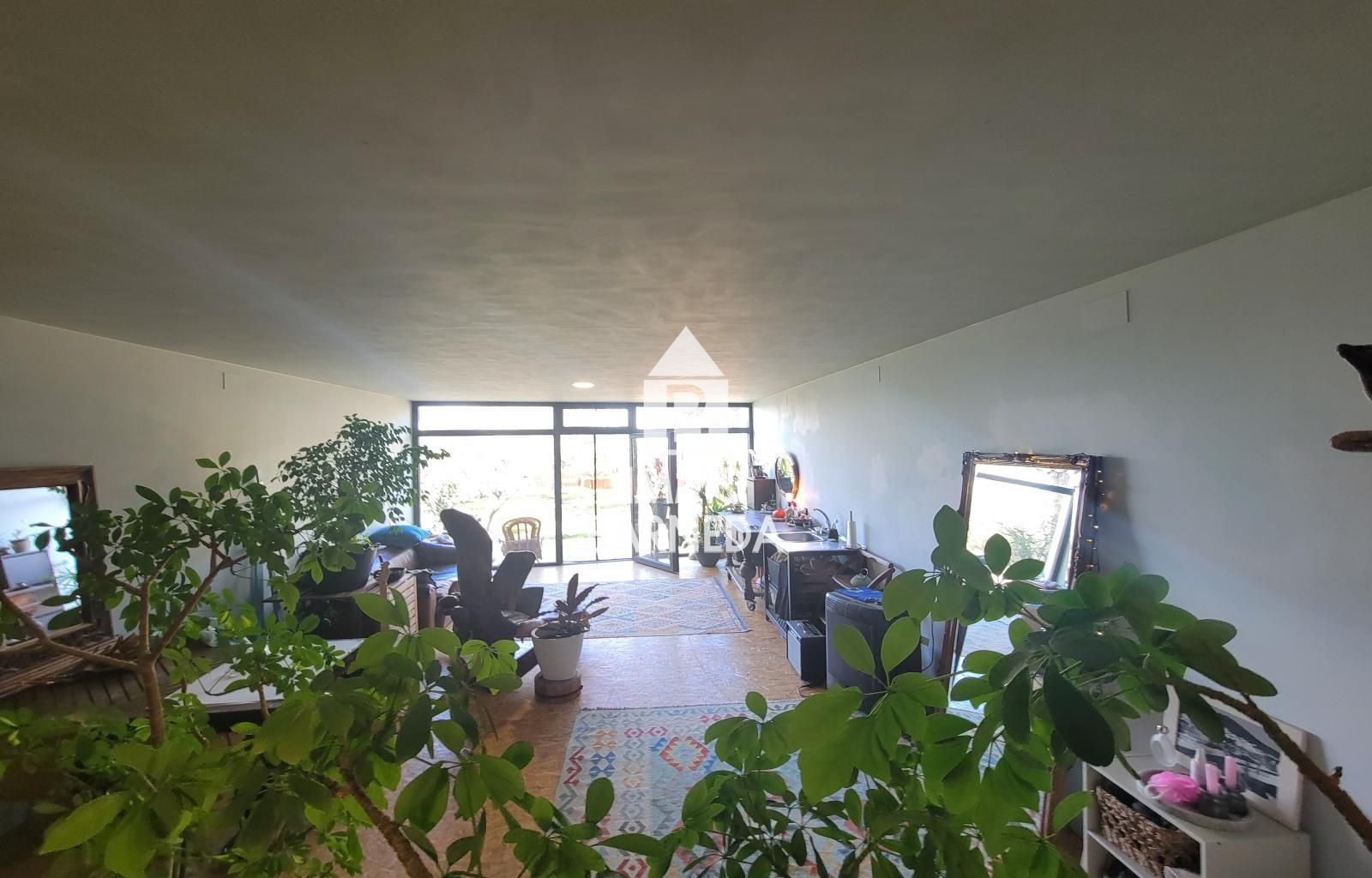 Terrains ruraux avec oliveraie et autonomie énergétique