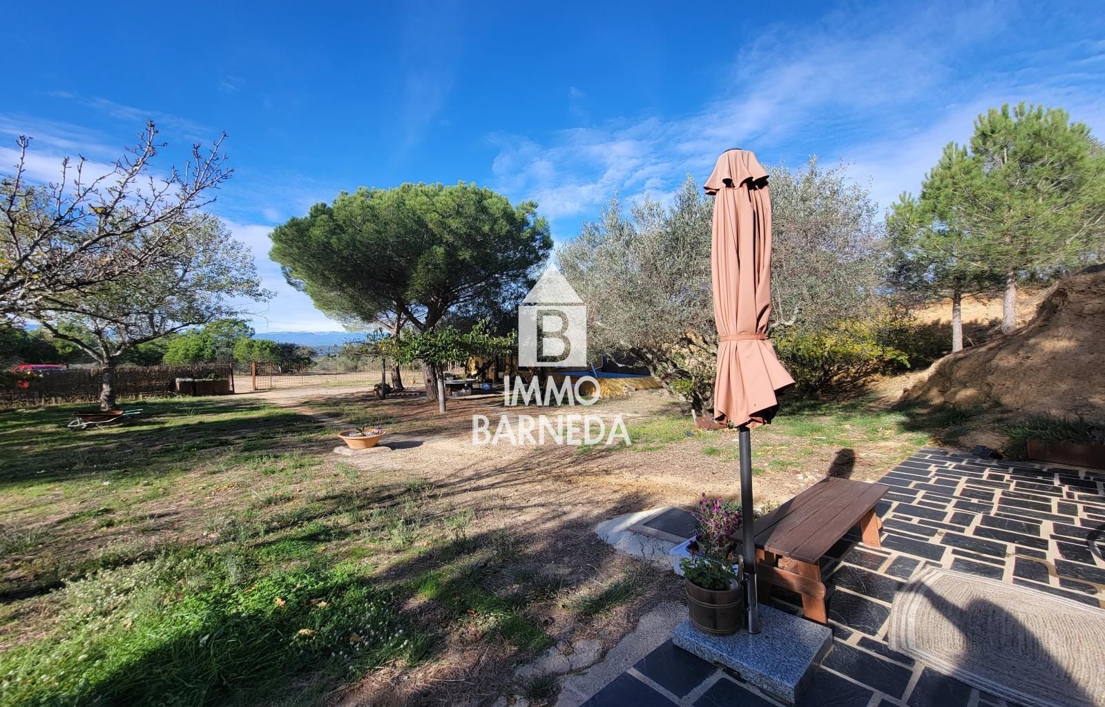 Terrains ruraux avec oliveraie et autonomie énergétique