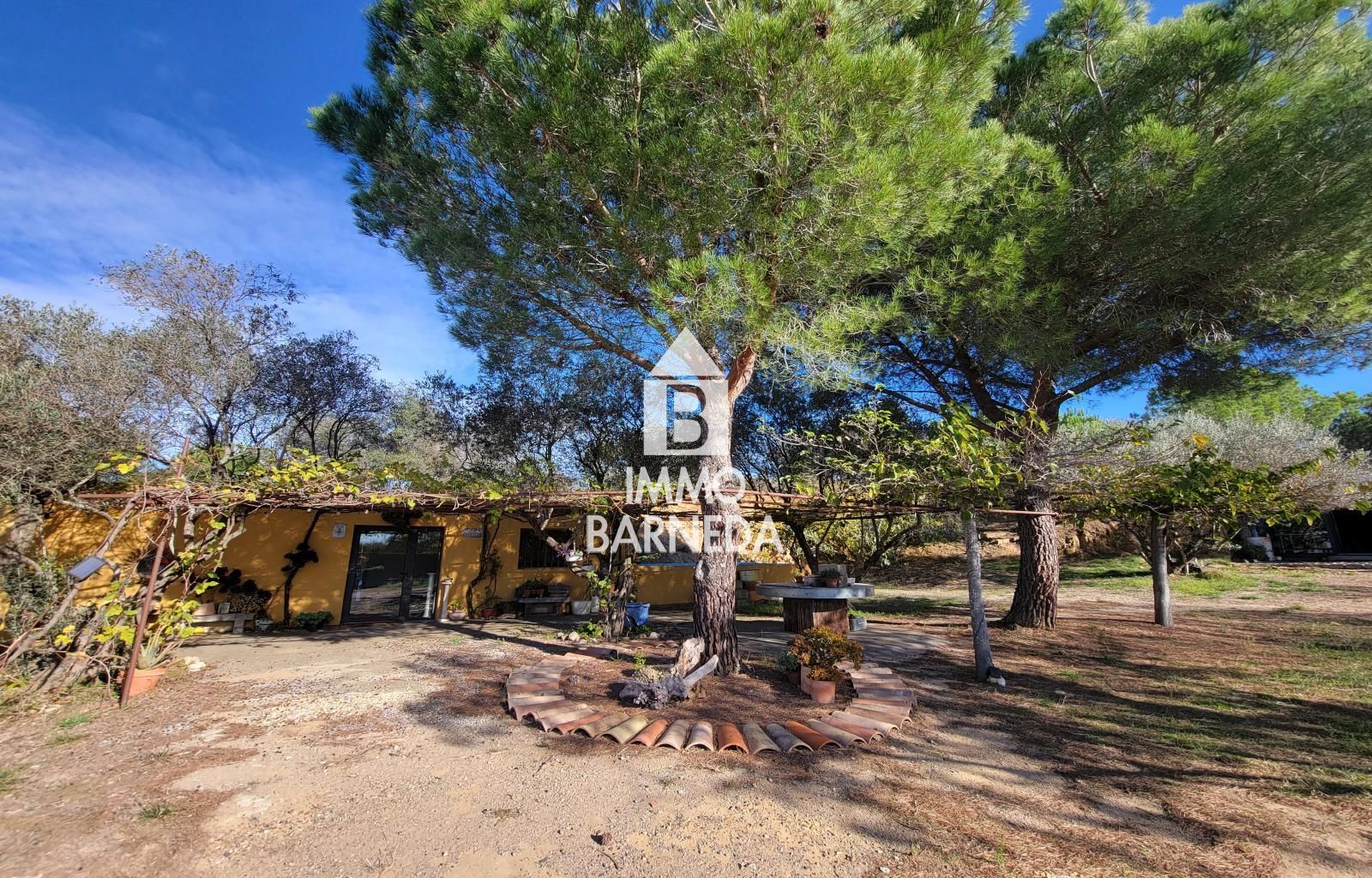 Terrains ruraux avec oliveraie et autonomie énergétique