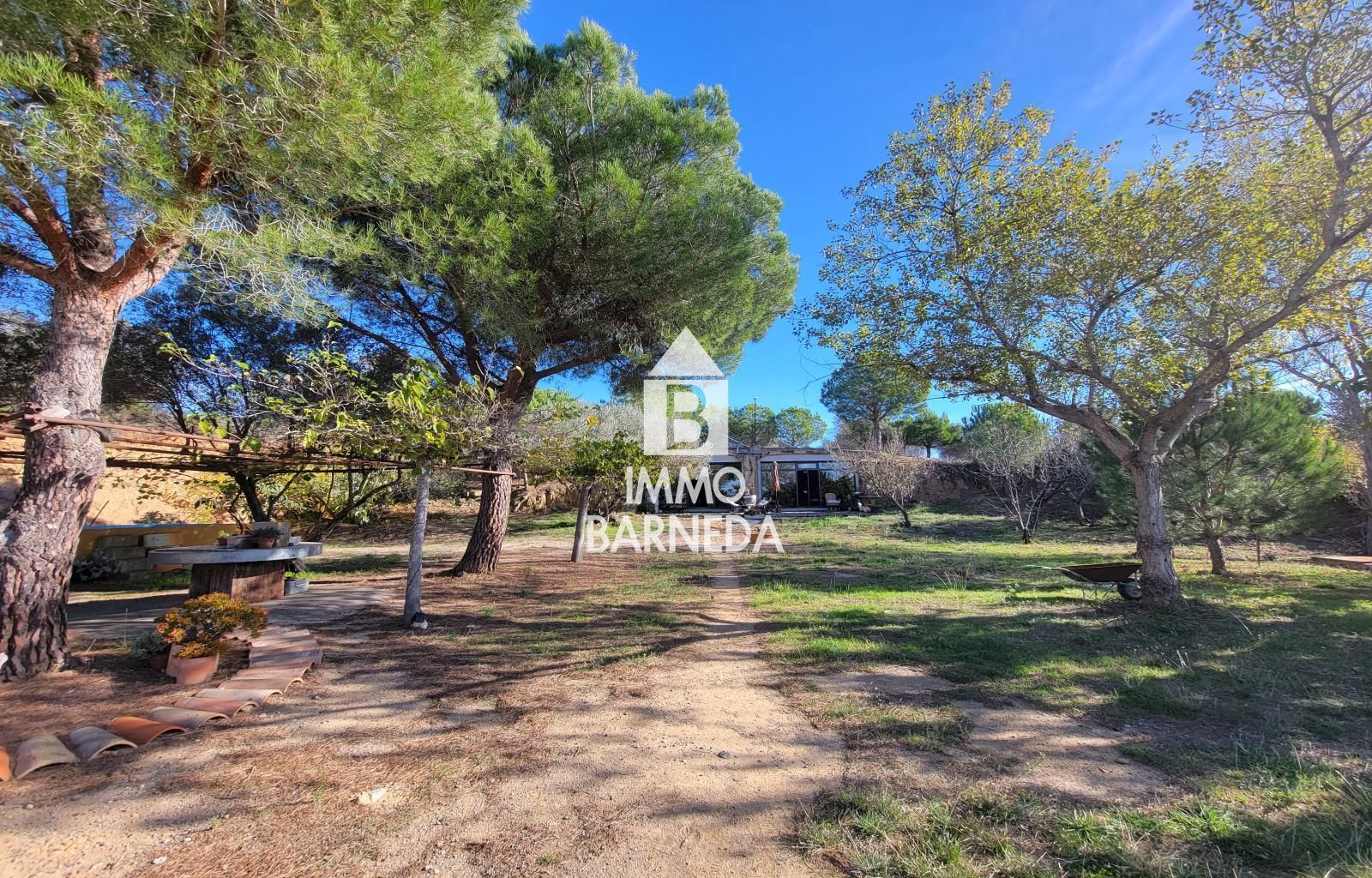 Terrains ruraux avec oliveraie et autonomie énergétique