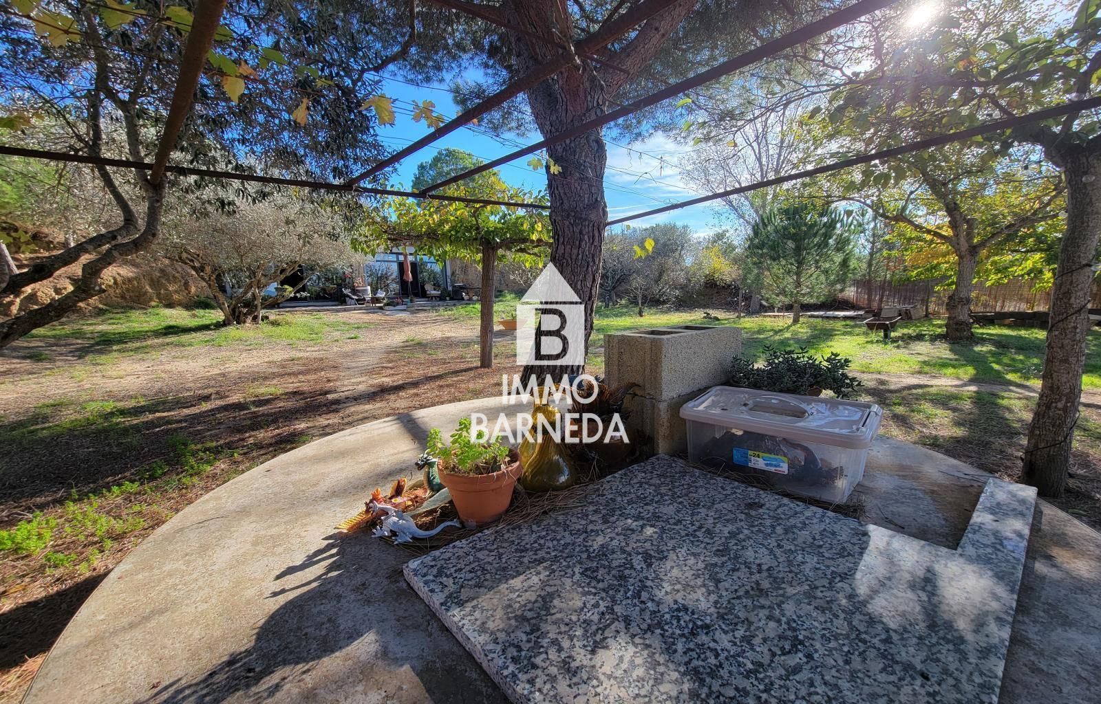 Terrains ruraux avec oliveraie et autonomie énergétique