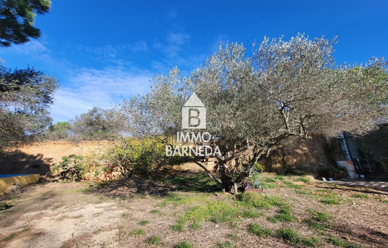Terrains ruraux avec oliveraie et autonomie énergétique