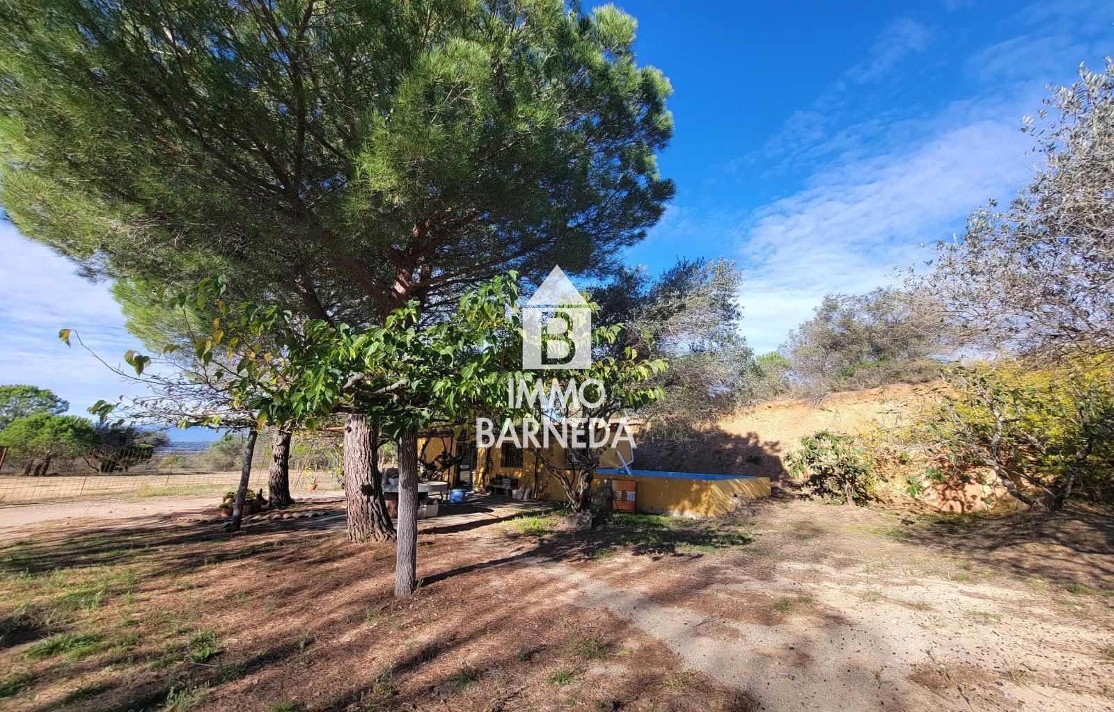 Terrains ruraux avec oliveraie et autonomie énergétique