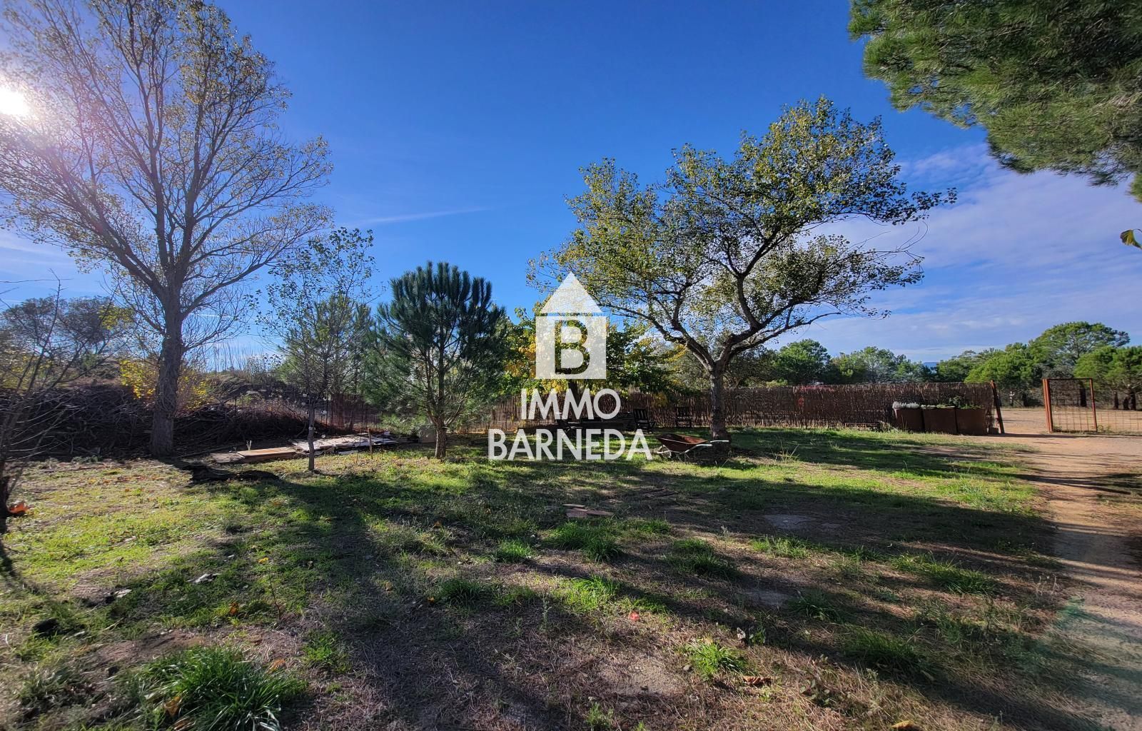 Terrains ruraux avec oliveraie et autonomie énergétique