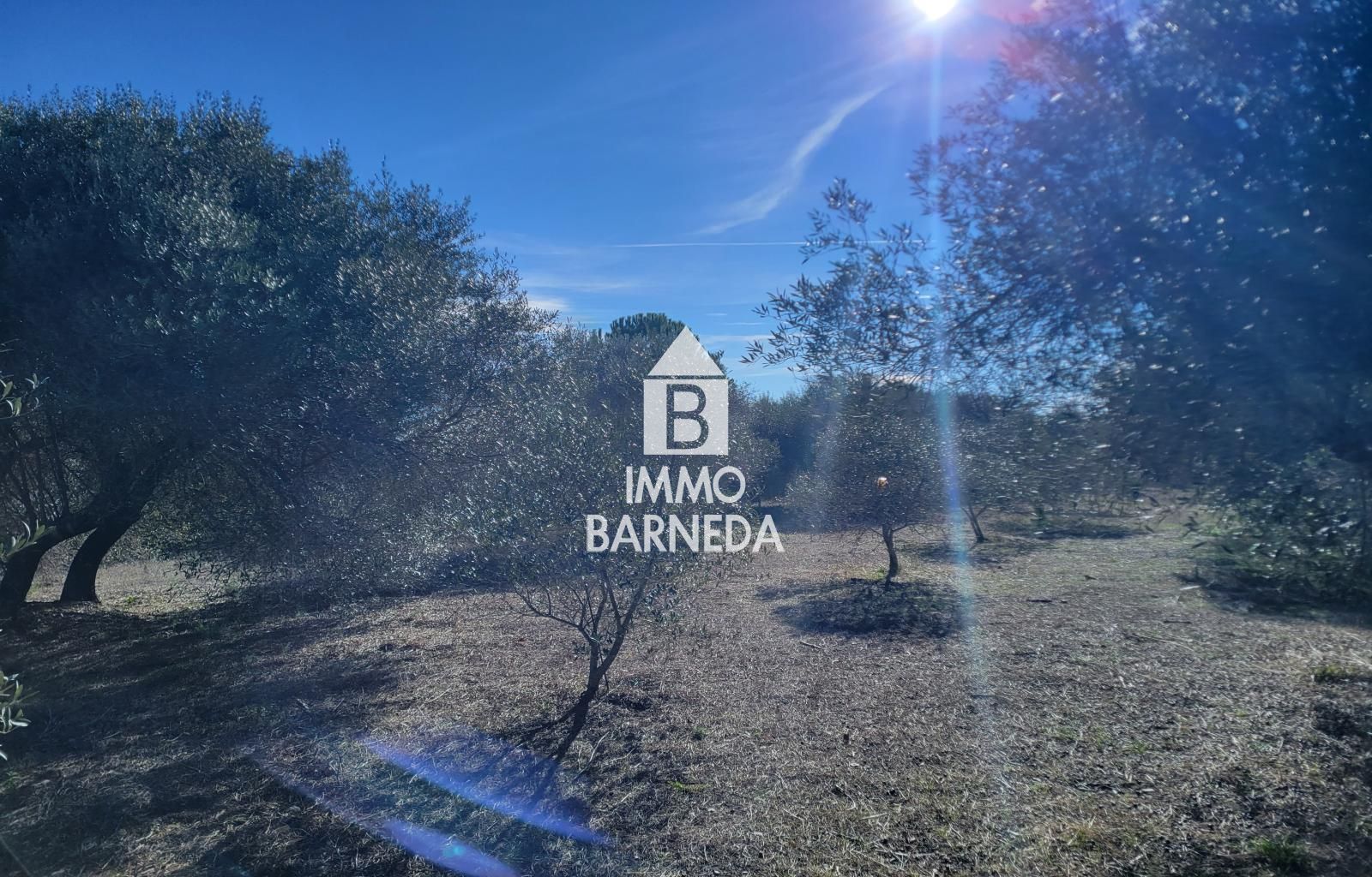 Terrains ruraux avec oliveraie et autonomie énergétique