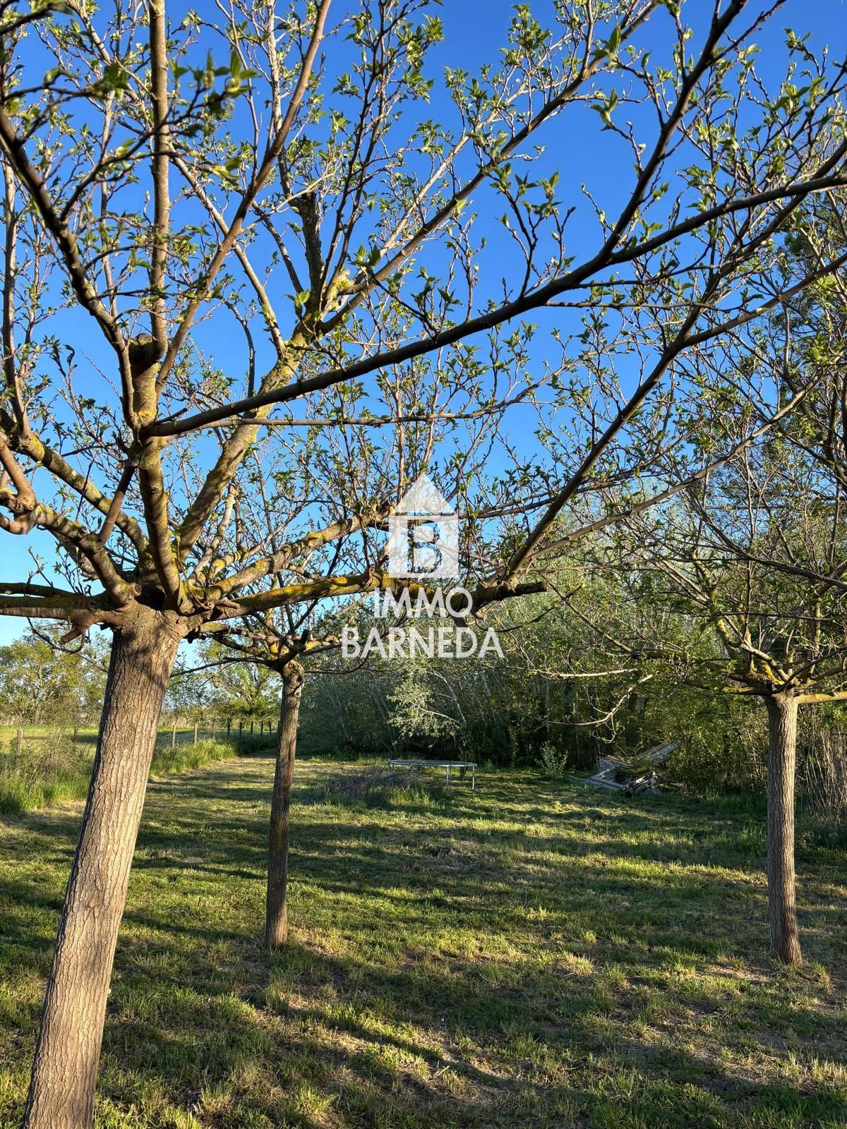 Terreny rústic de 2.799 m² a la zona del Vernar, Castelló d'Empúries