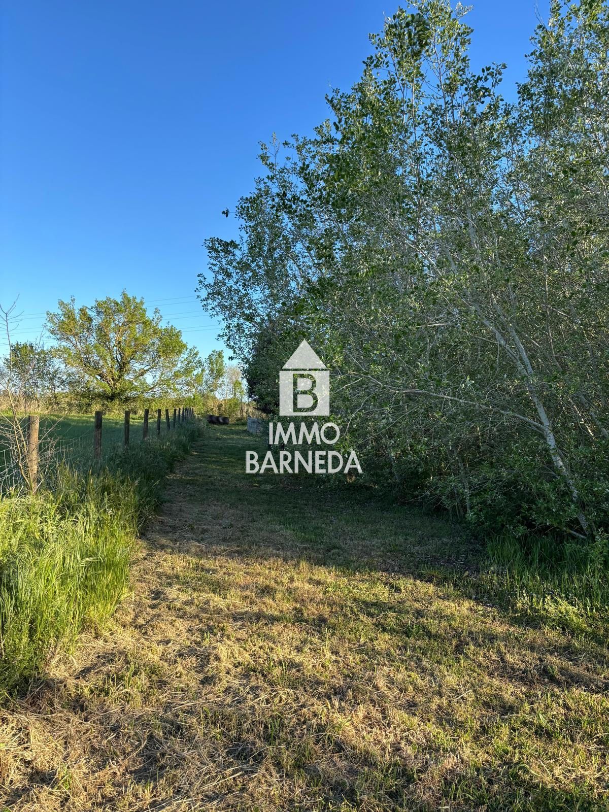 Terreny rústic de 2.799 m² a la zona del Vernar, Castelló d'Empúries