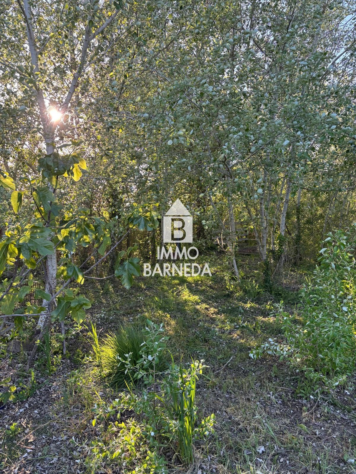 Terreny rústic de 2.799 m² a la zona del Vernar, Castelló d'Empúries