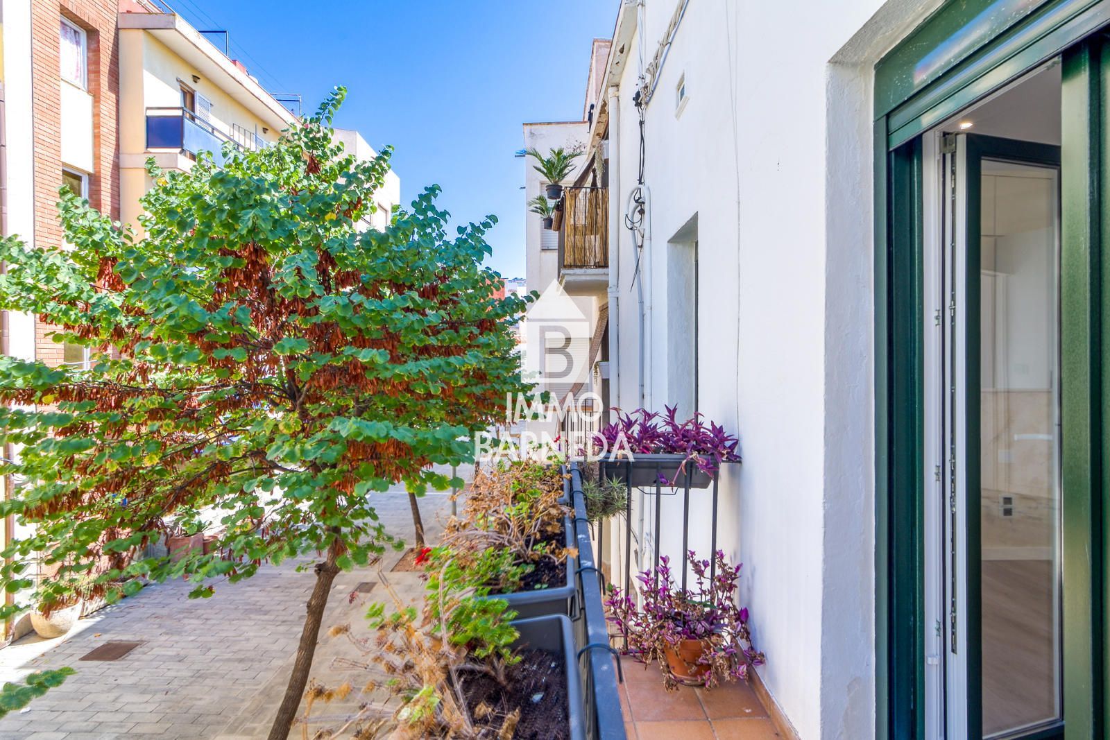 Foto 33