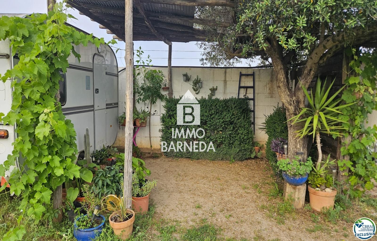 Foto 11