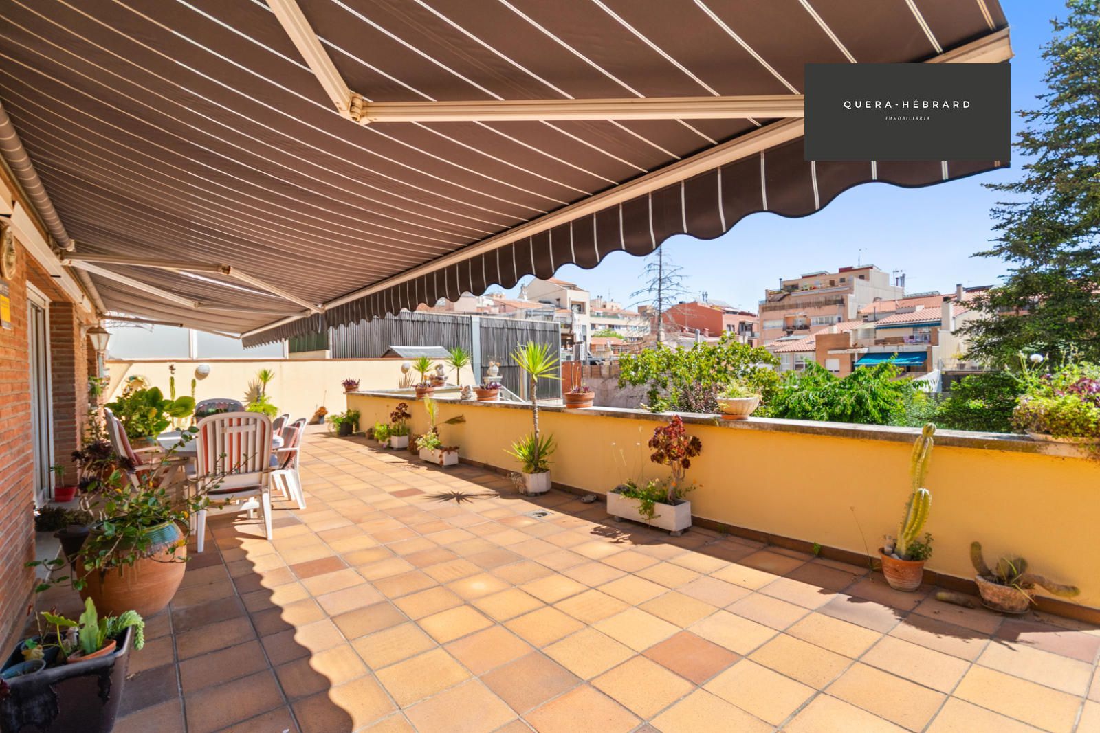 Terraza