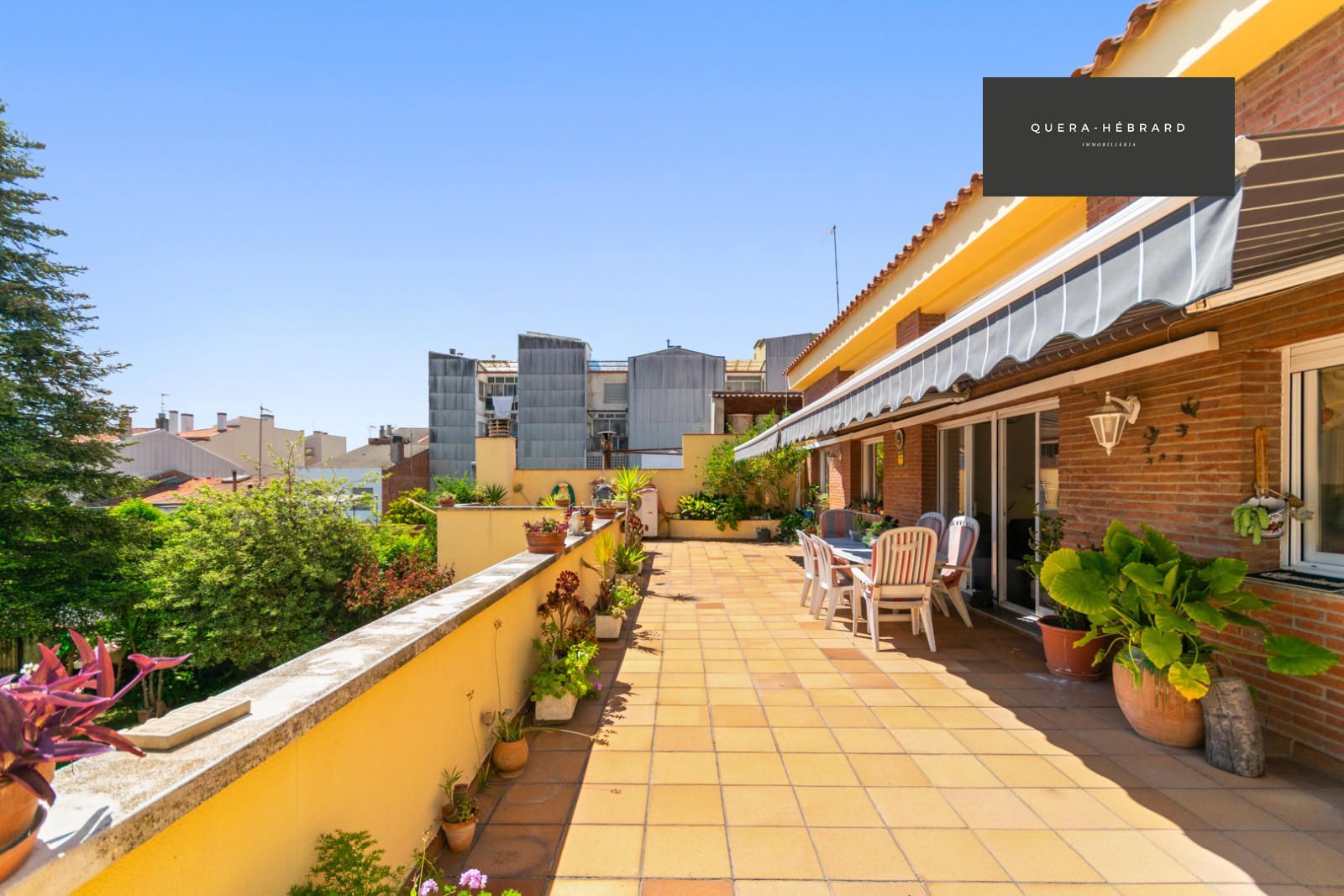 Terraza