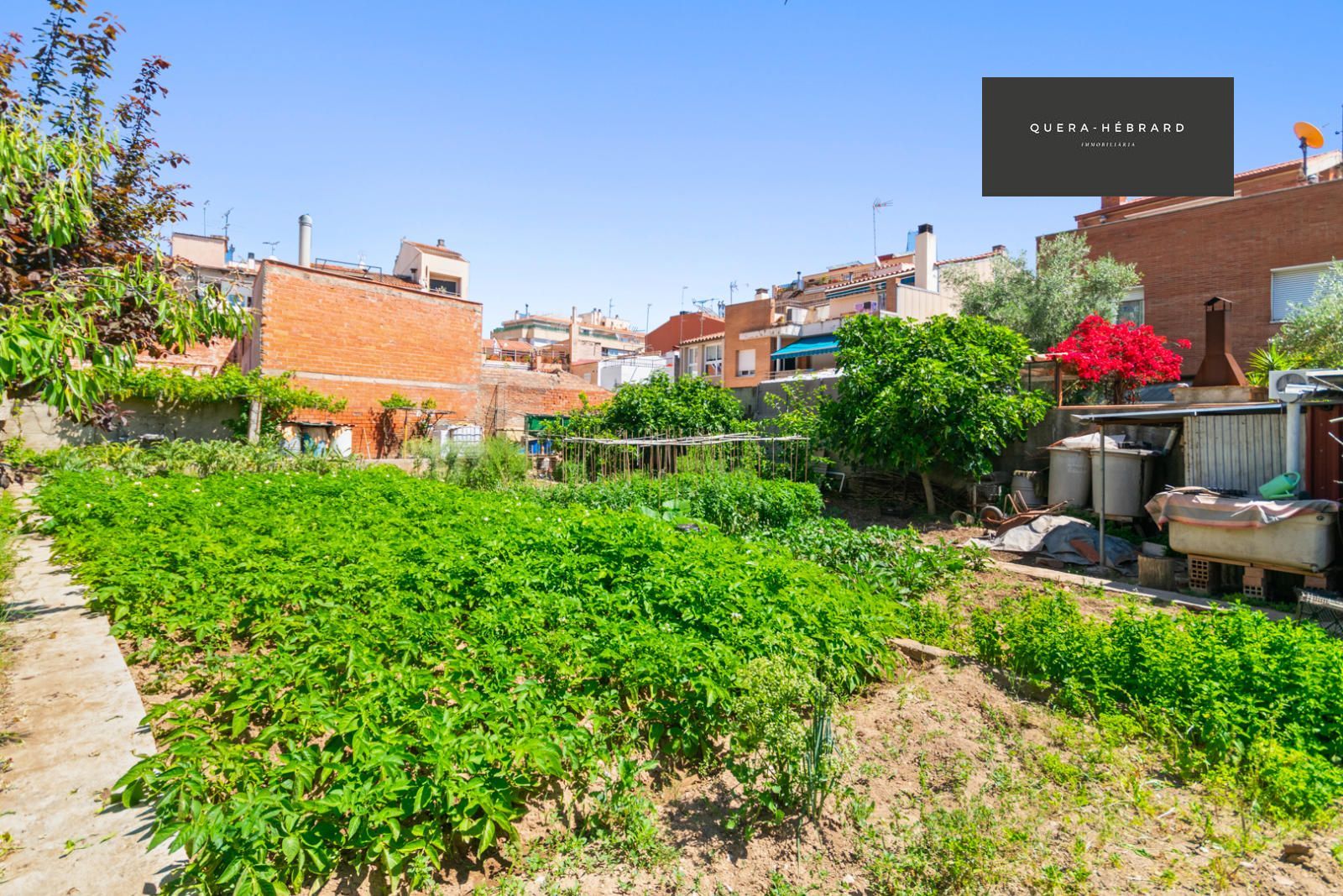 Huerto