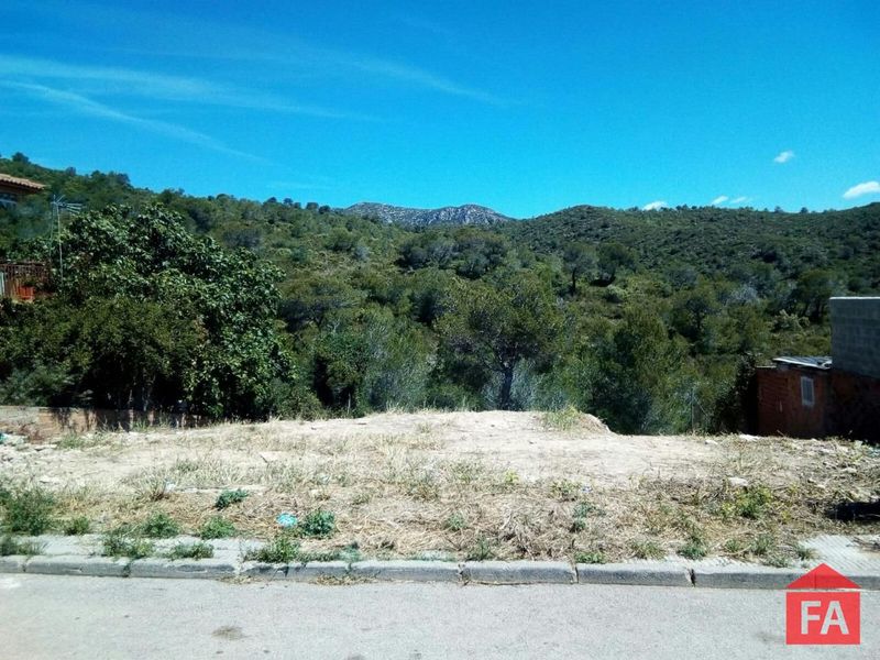 Parcela en venta La Bisbal del Penedes, Tarragona. Ref: 3067. FINCAS ARMENGOL