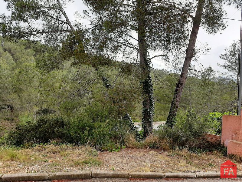 Parcela en venta La Bisbal del Penedes, Tarragona. Ref: 3510. FINCAS ARMENGOL