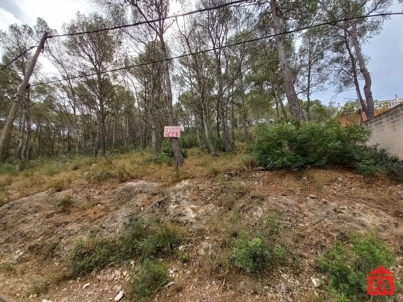 Parcela en venta La Bisbal del Penedes, Tarragona. Ref: 3608. FINCAS ARMENGOL