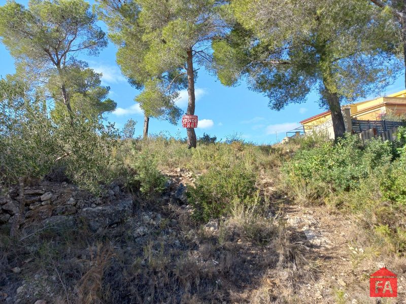 Parcela en venta La Bisbal del Penedes, Tarragona. Ref: 3998. FINCAS ARMENGOL