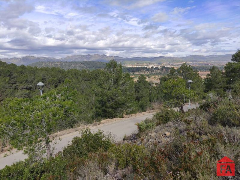 Parcela en venta La Bisbal del Penedes, Tarragona. Ref: 4295. FINCAS ARMENGOL