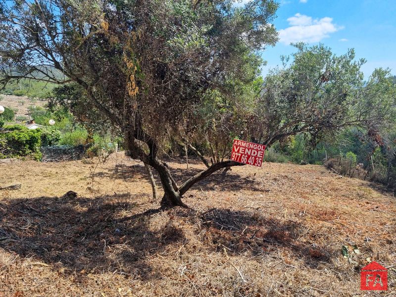 Parcela en venta La Bisbal del Penedes, Tarragona. Ref: 4434. FINCAS ARMENGOL