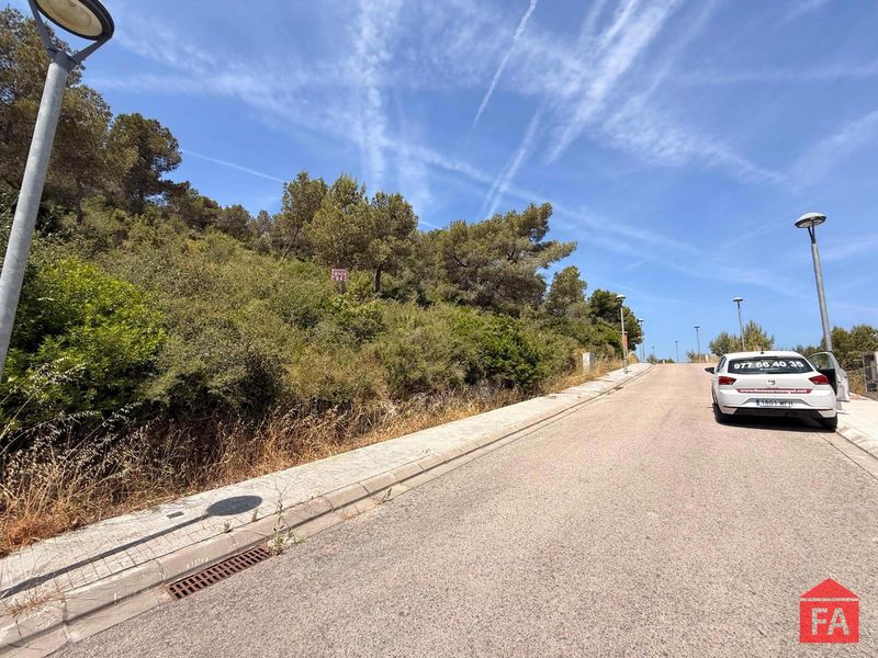 Parcela en venta La Bisbal del Penedes, Tarragona. Ref: 4628. FINCAS ARMENGOL