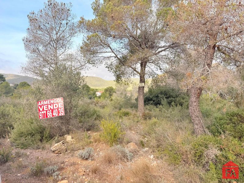 Terreny en venda El Montmell, Tarragona. Ref: 4717. FINCAS ARMENGOL 