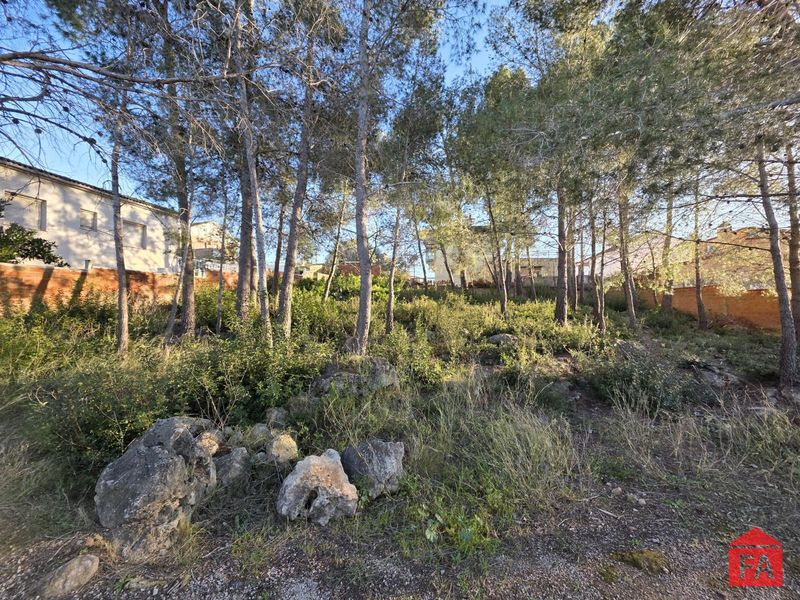 Parcela en venta La Bisbal del Penedes, Tarragona. Ref: 4739. FINCAS ARMENGOL 