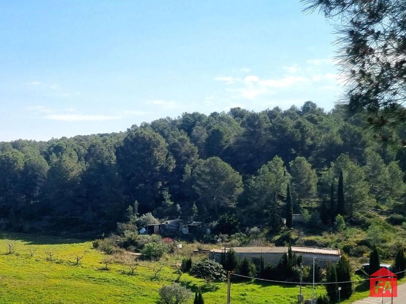 Finca Rústica en venta La Bisbal del Penedes, Tarragona. Ref: 4778. FINCAS ARMENGOL 