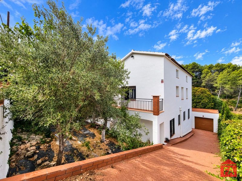 House for sale La Bisbal del Penedes, Tarragona. Ref: 4873. FINCAS ARMENGOL 