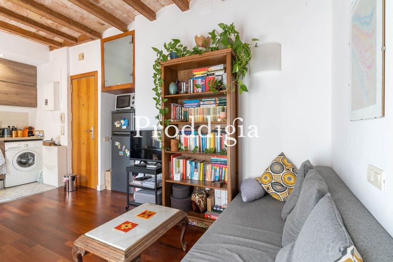 Acogedor apartamento de 40m2 en la Barceloneta