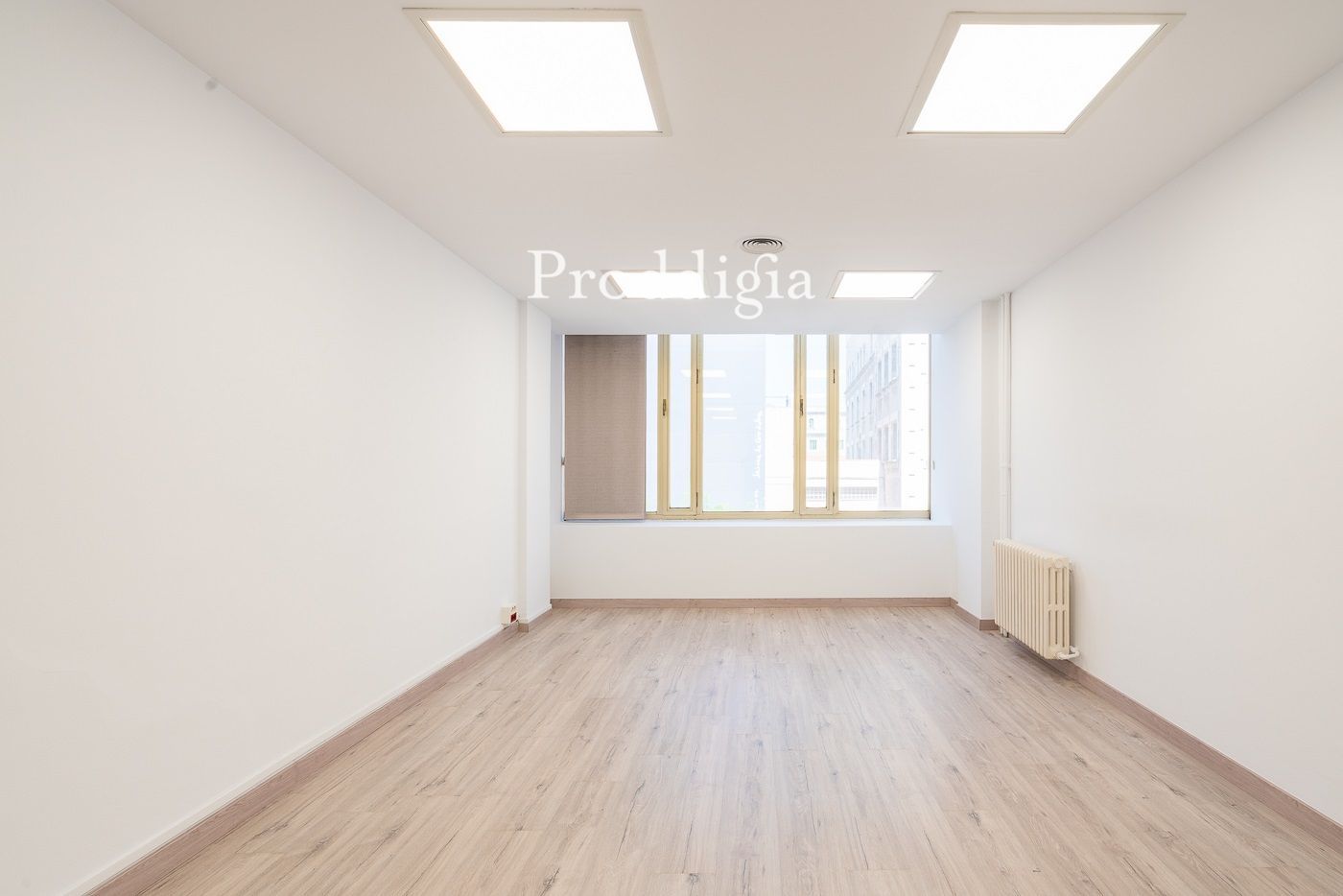 Office for rent Barcelona. Ref: 14250. Proddigia