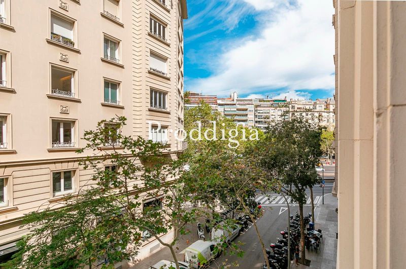 Vivienda recién reformada a un paso de Francesc Maciá