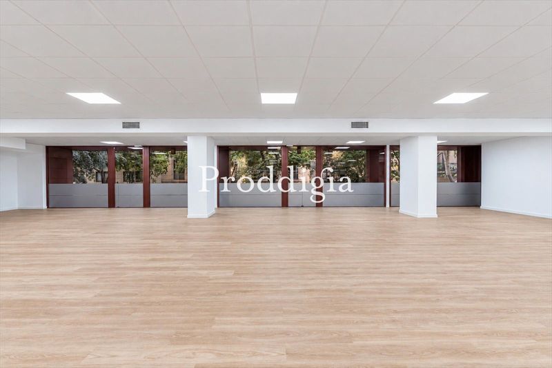 OFICINA REFORMADA DE 350 m² EN PASEO DE GRACIA / CONSELL DE CENT