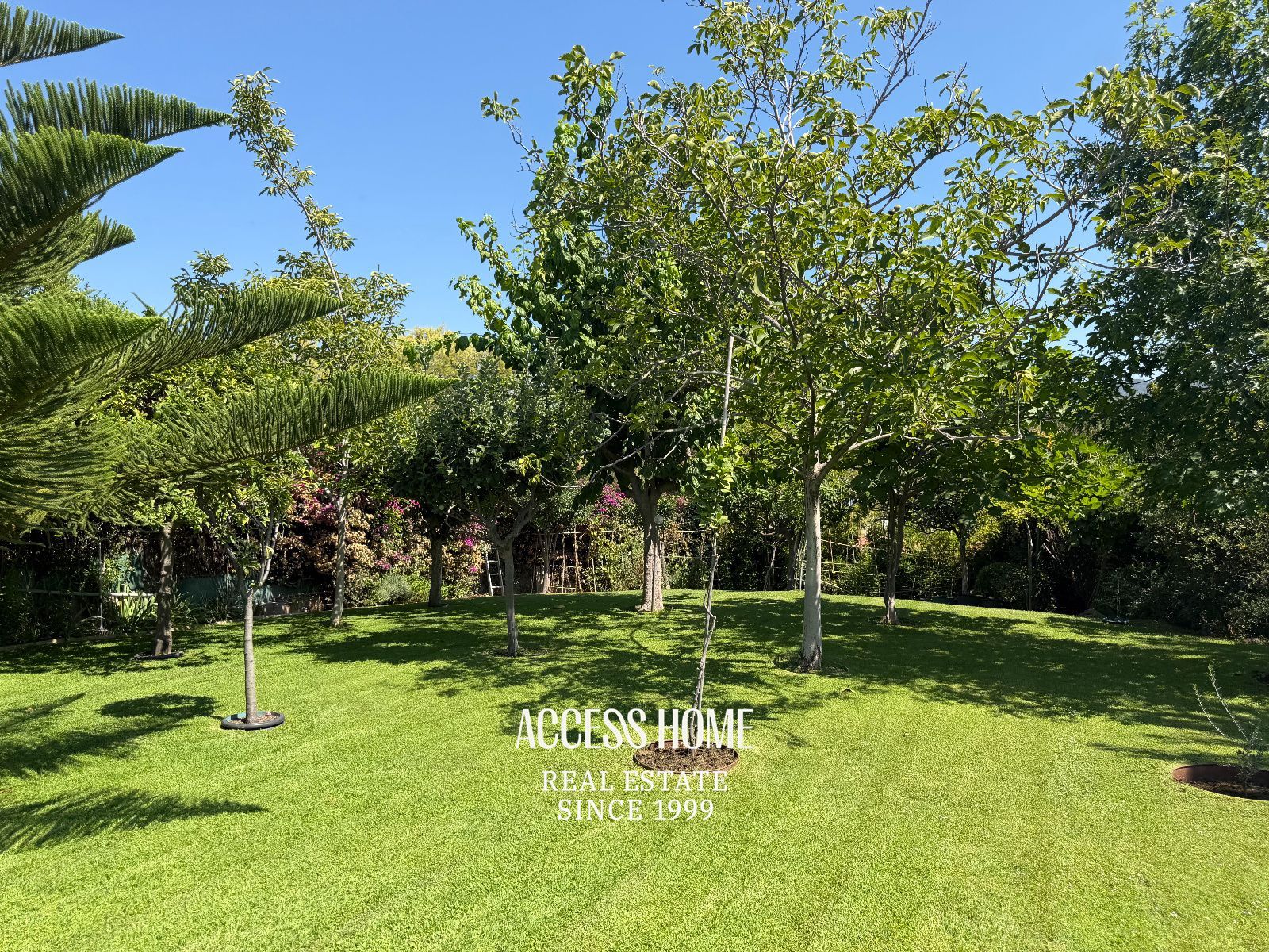 Casa a tres vientos con jardín y piscina privada cerca del centro de Alella - Foto 6
