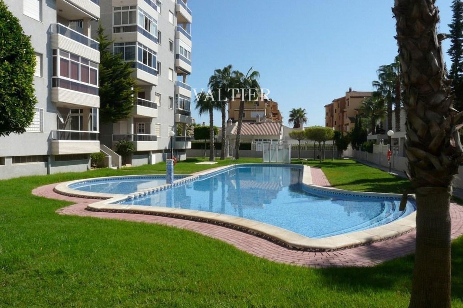 Adosado en alquiler en Calle Talía, Torrevieja, Alicante - Foto 24