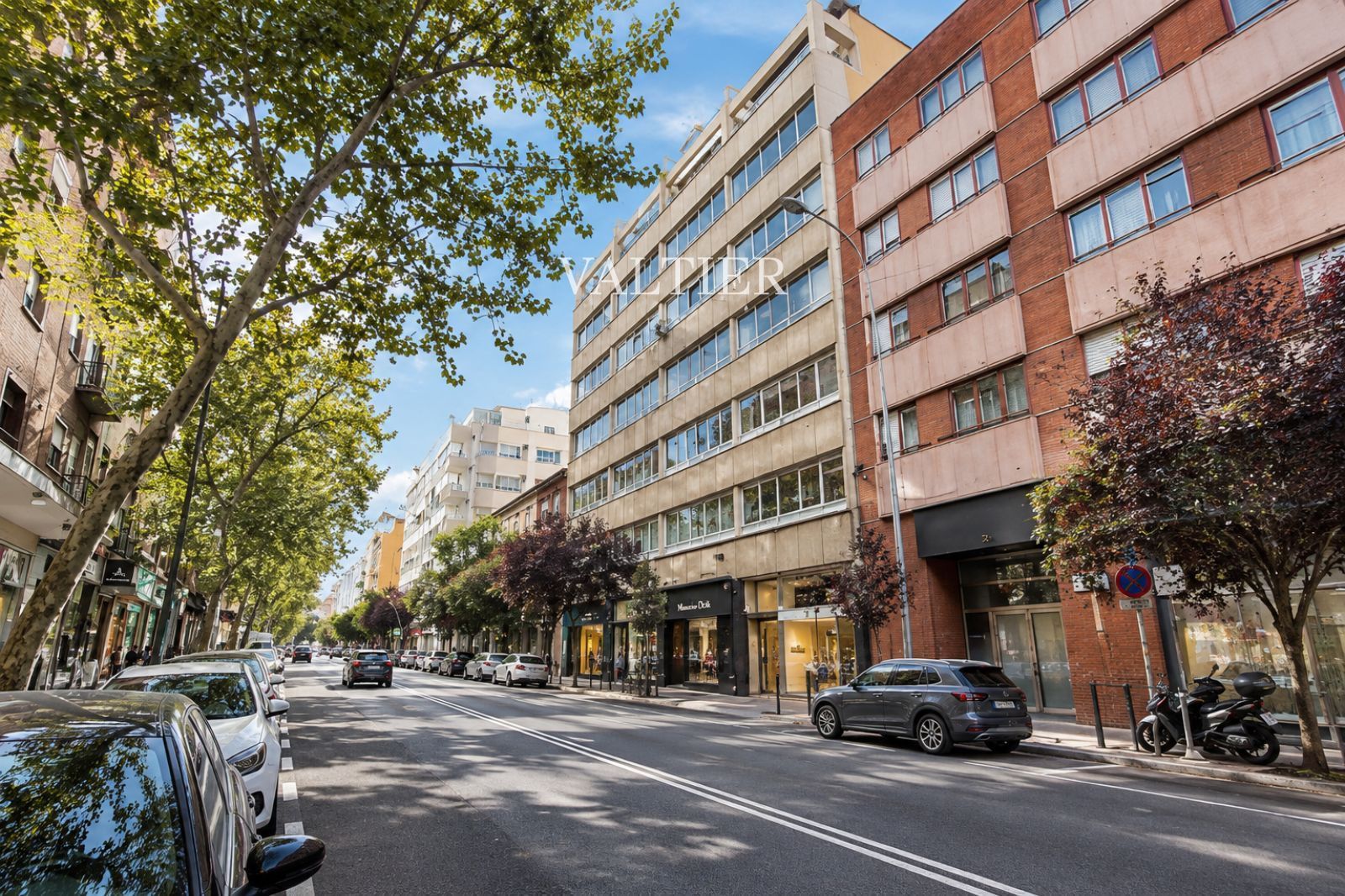 Ladrillo, hormigón y luz en Francisco Silvela, Madrid - Foto 28