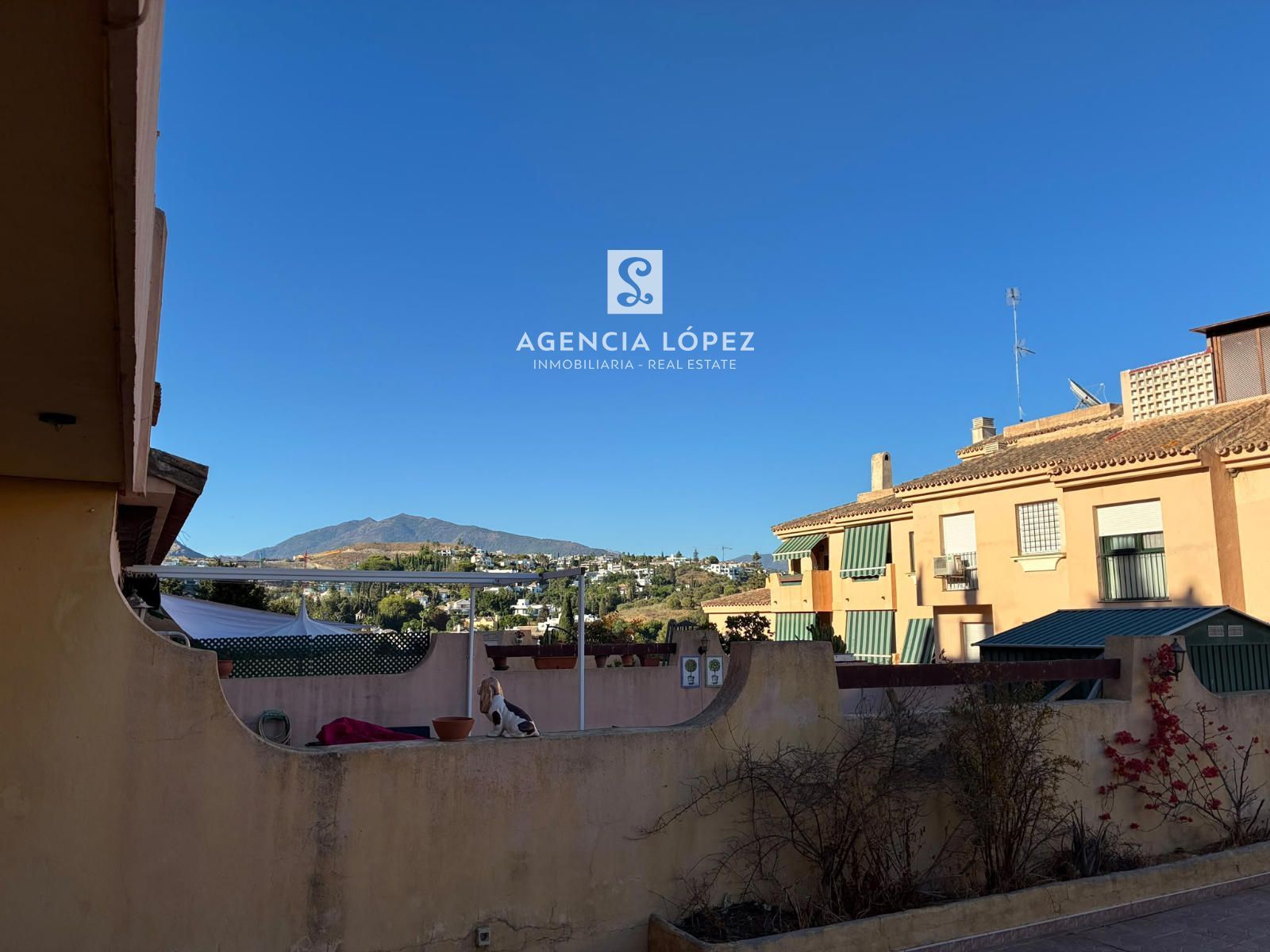 Fantástico apartamento en Bel-Air con gran terraza - Foto 13