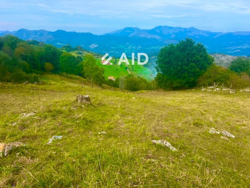 Parcela en venta Cangas de Onis, Asturias. Ref: 1007. AGENTES INMOBILIARIOS DIGITALES