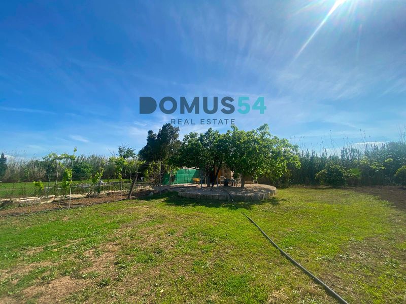 Suelo rústico no edificable en venta Sa Pobla, Baleares. Ref: 51561. DOMUS54 Real Estate