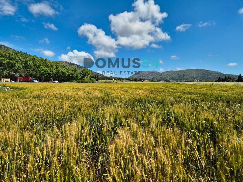 Suelo rústico no edificable en venta Sa Pobla, Baleares. Ref: 51562. DOMUS54 Real Estate