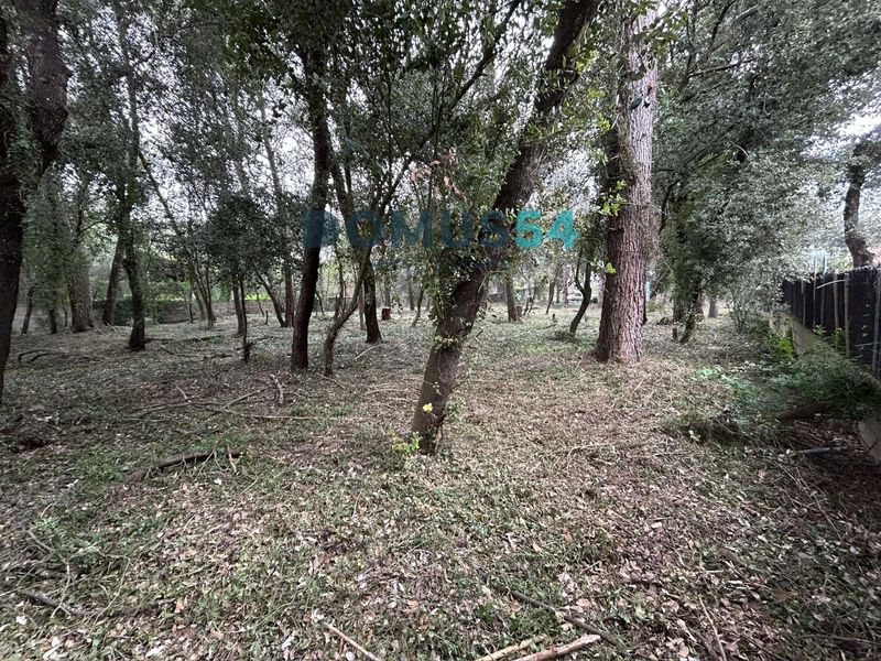 Suelo Urbano en venta Sa Pobla, Baleares. Ref: 51628. DOMUS54 Real Estate
